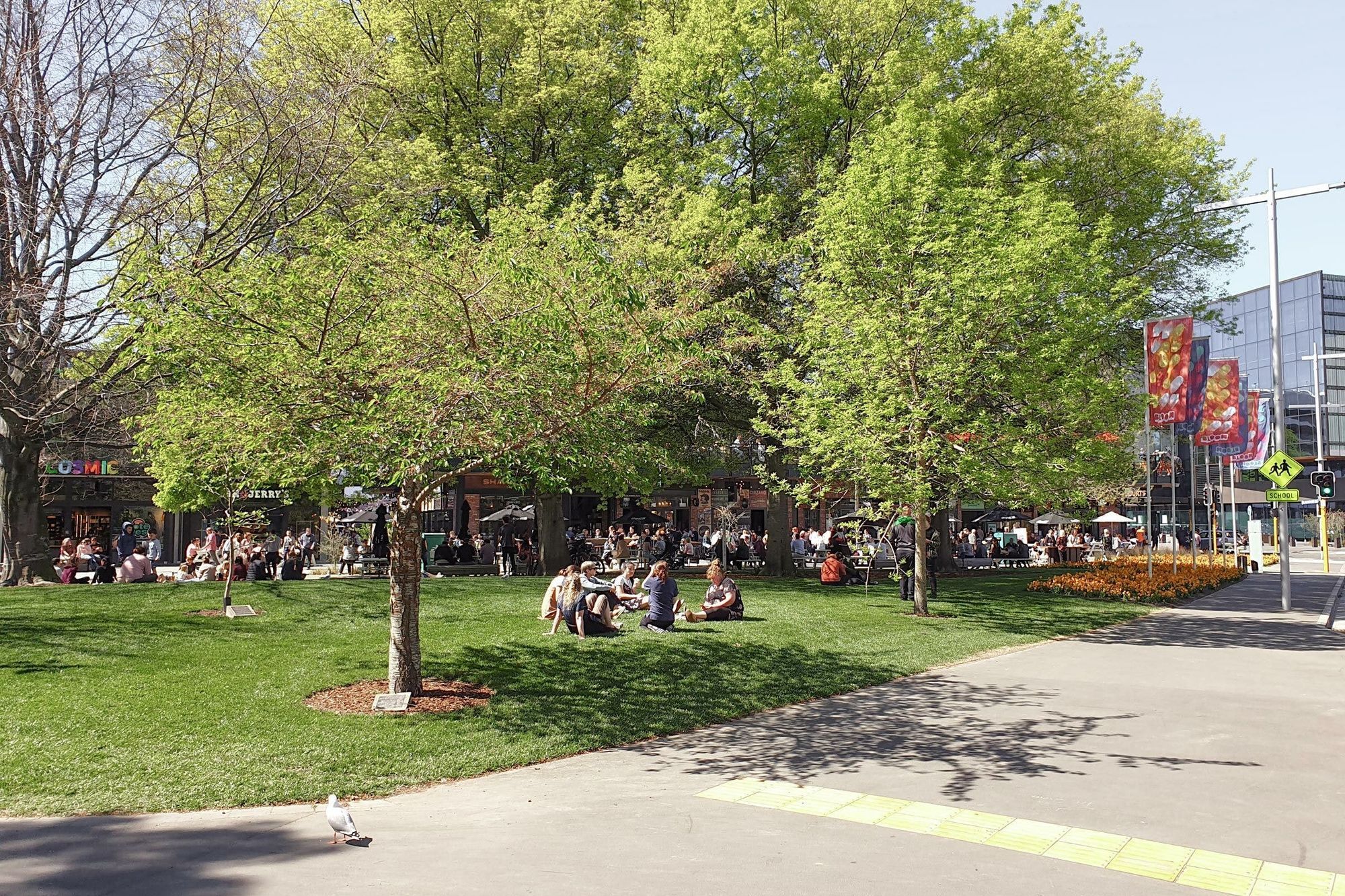 Avon River Precinct