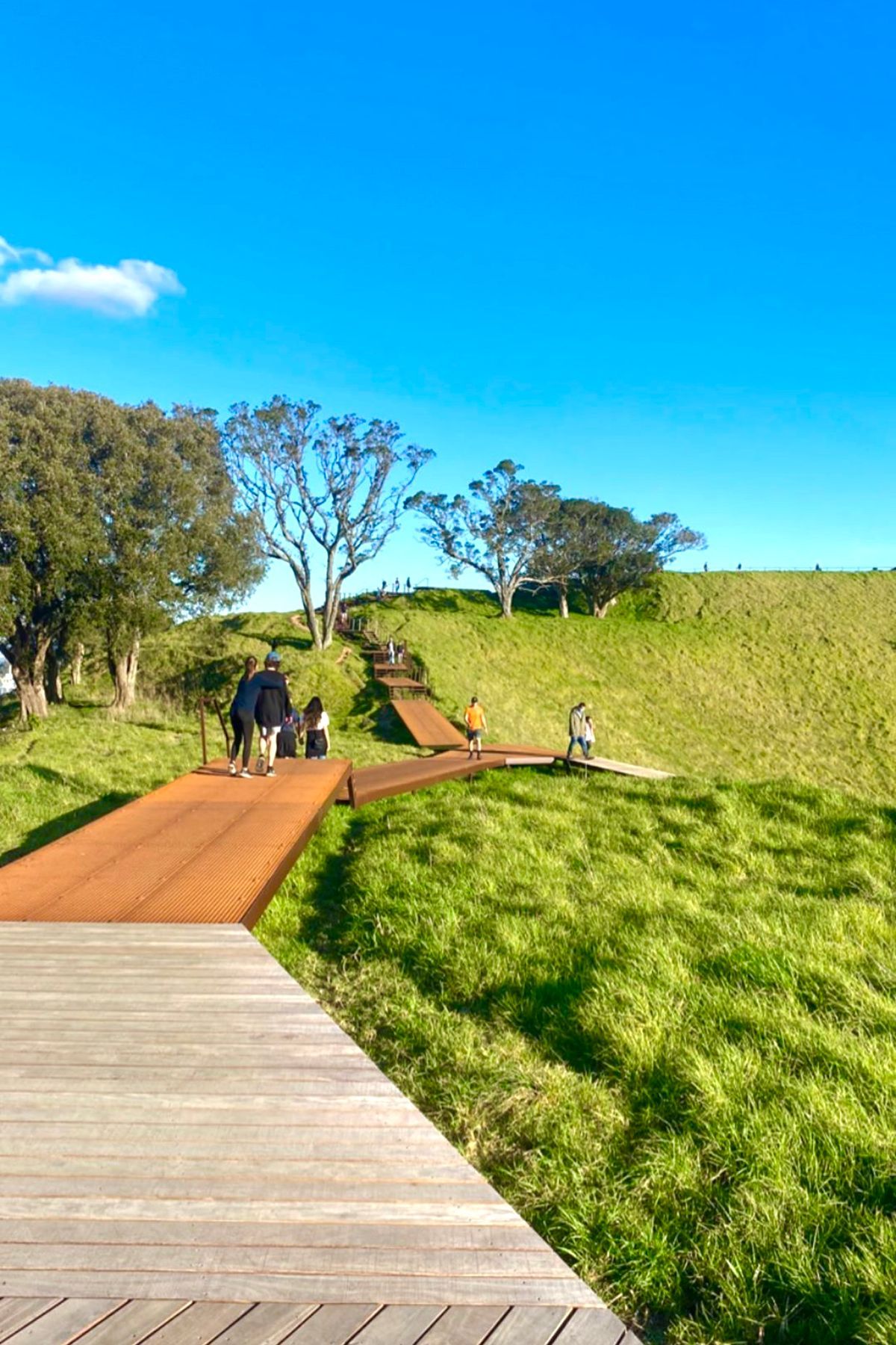 Maungawhau / Mt Eden Boardwalk