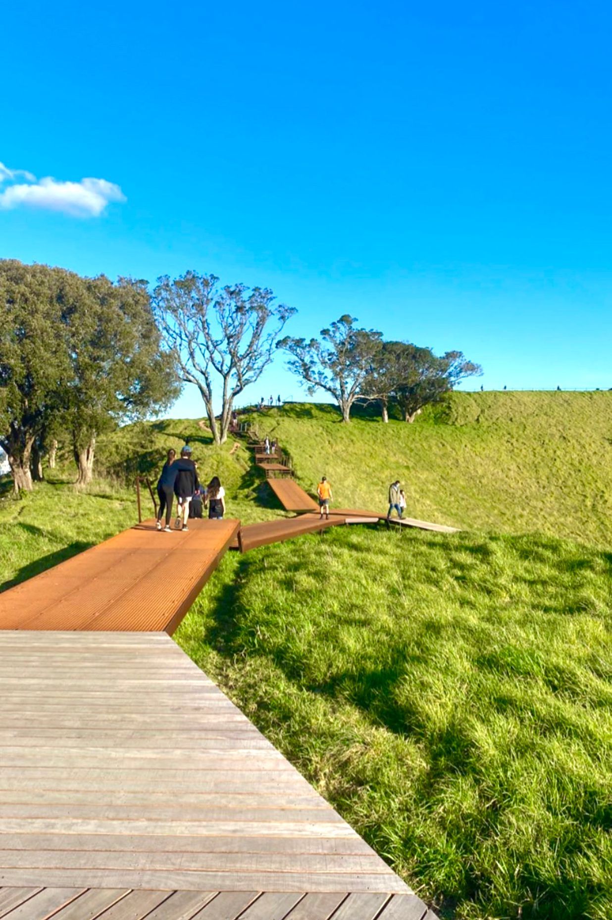 Maungawhau / Mt Eden Boardwalk