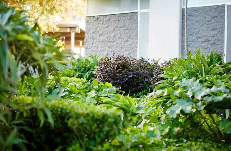 Wollstonecraft Apartments