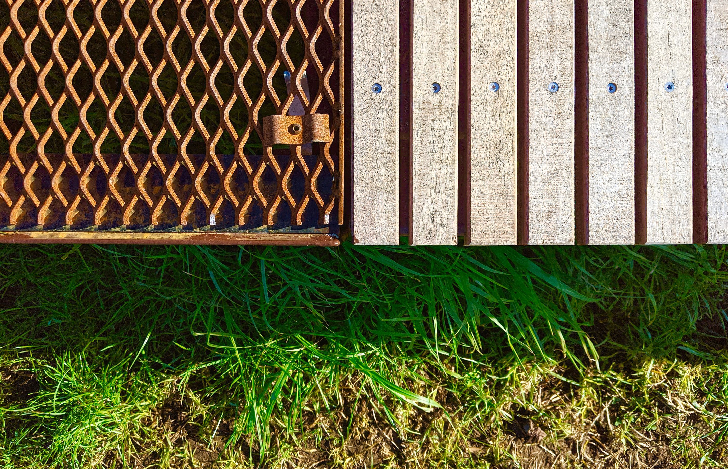 Maungawhau / Mt Eden Boardwalk