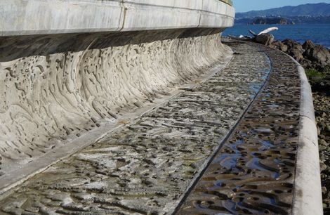 Bespoke Seawall Units for Tupua Horo Nuku