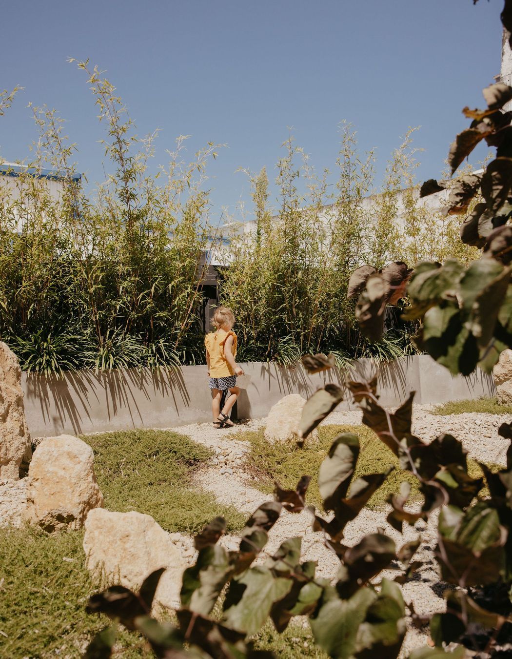 Dnature Project
