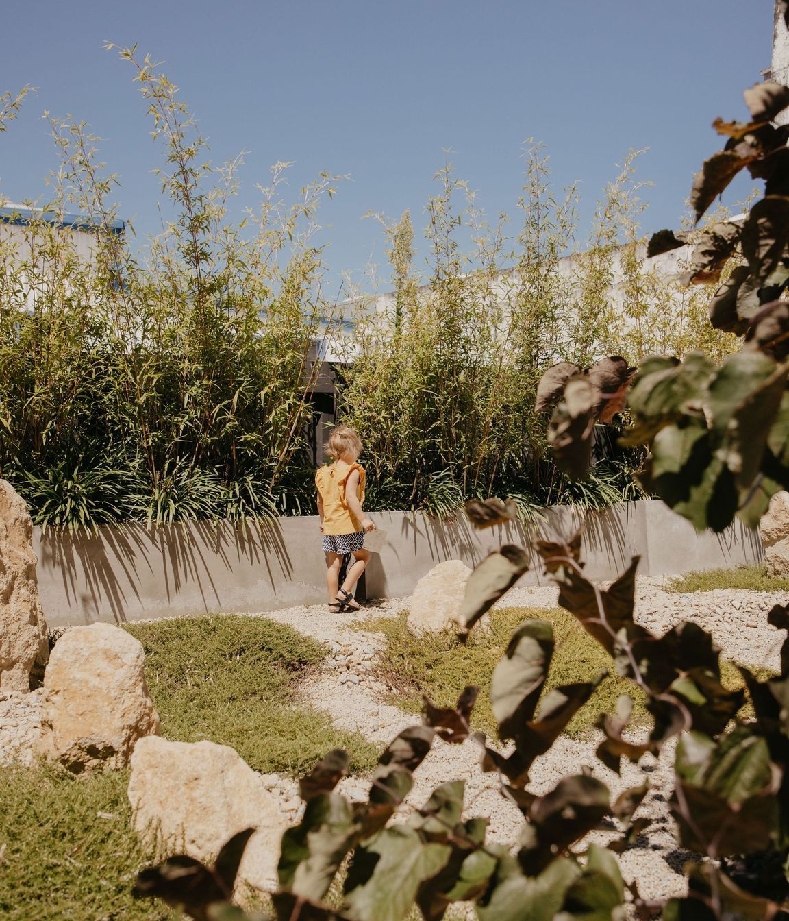 Dnature Project