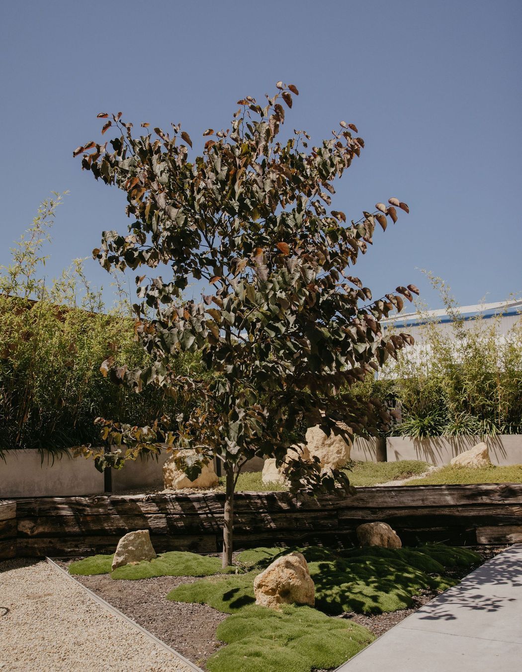 Dnature Project