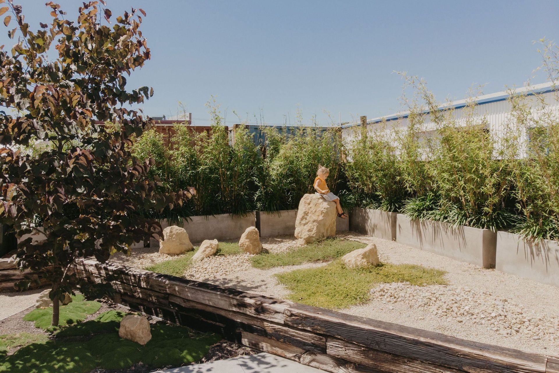 Dnature Project