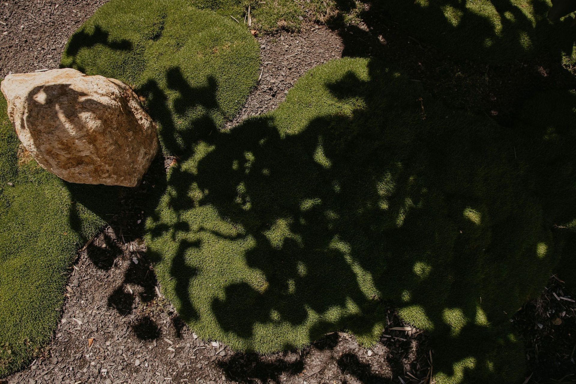 Dnature Project
