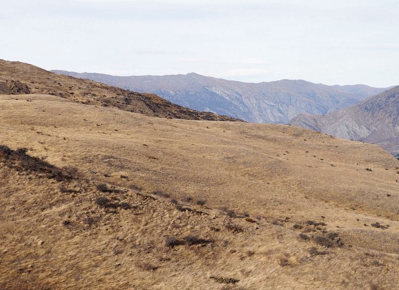 Gibbston Valley Station
