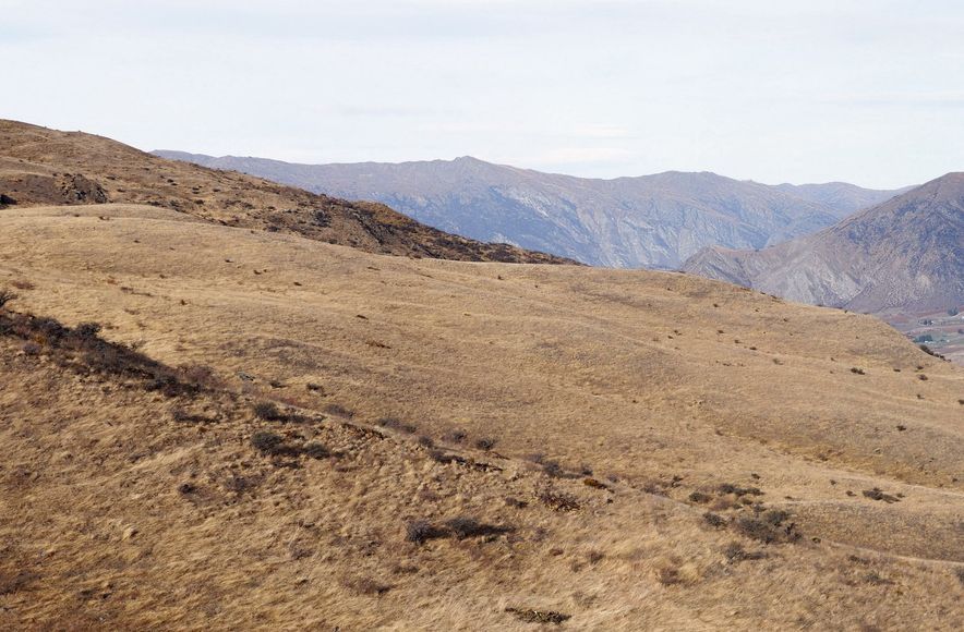 Gibbston Valley Station