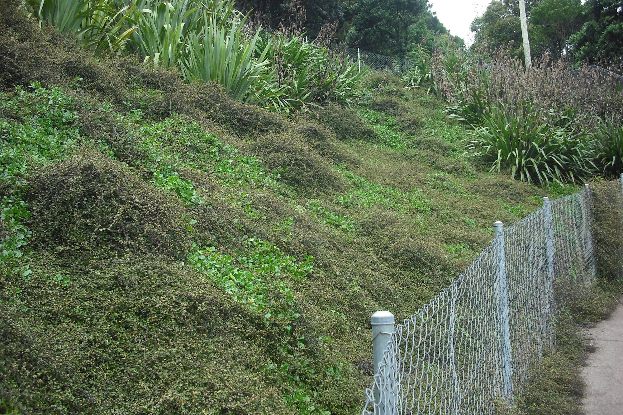 Environmental