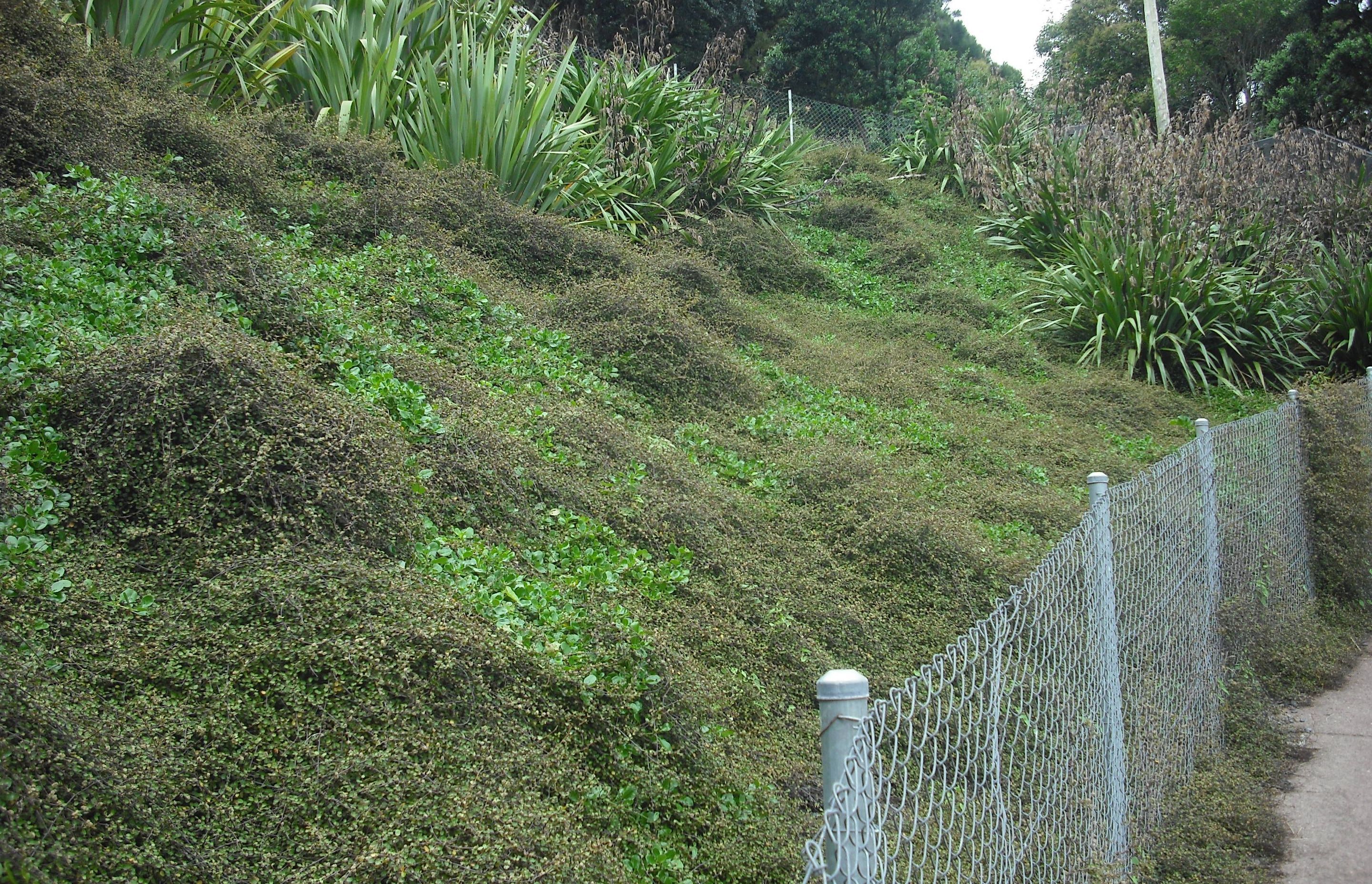 Environmental