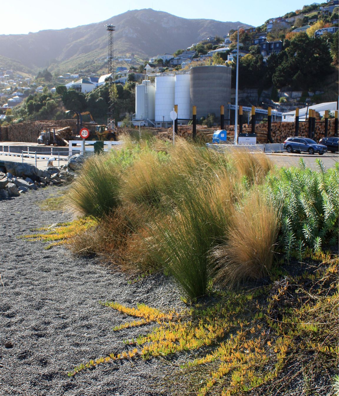 Waterfront House, Lyttelton Port