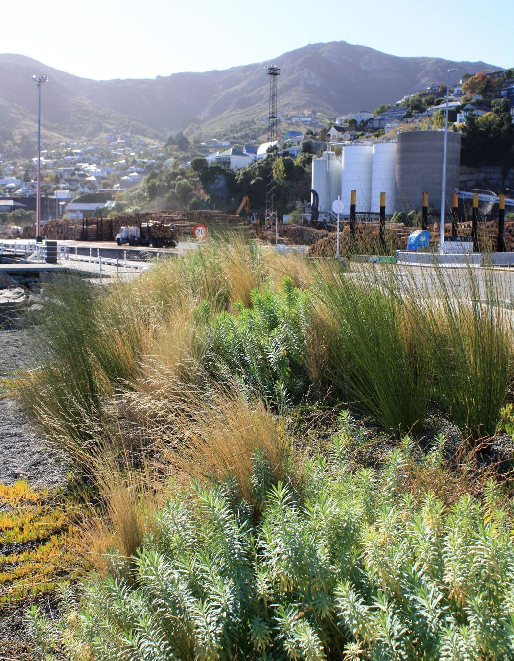 Waterfront House, Lyttelton Port