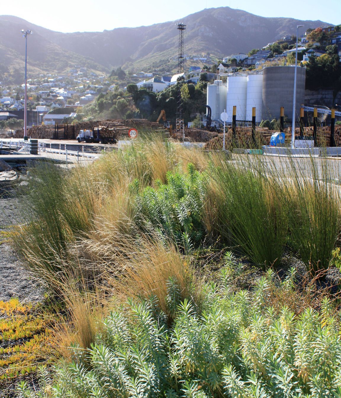 Waterfront House, Lyttelton Port