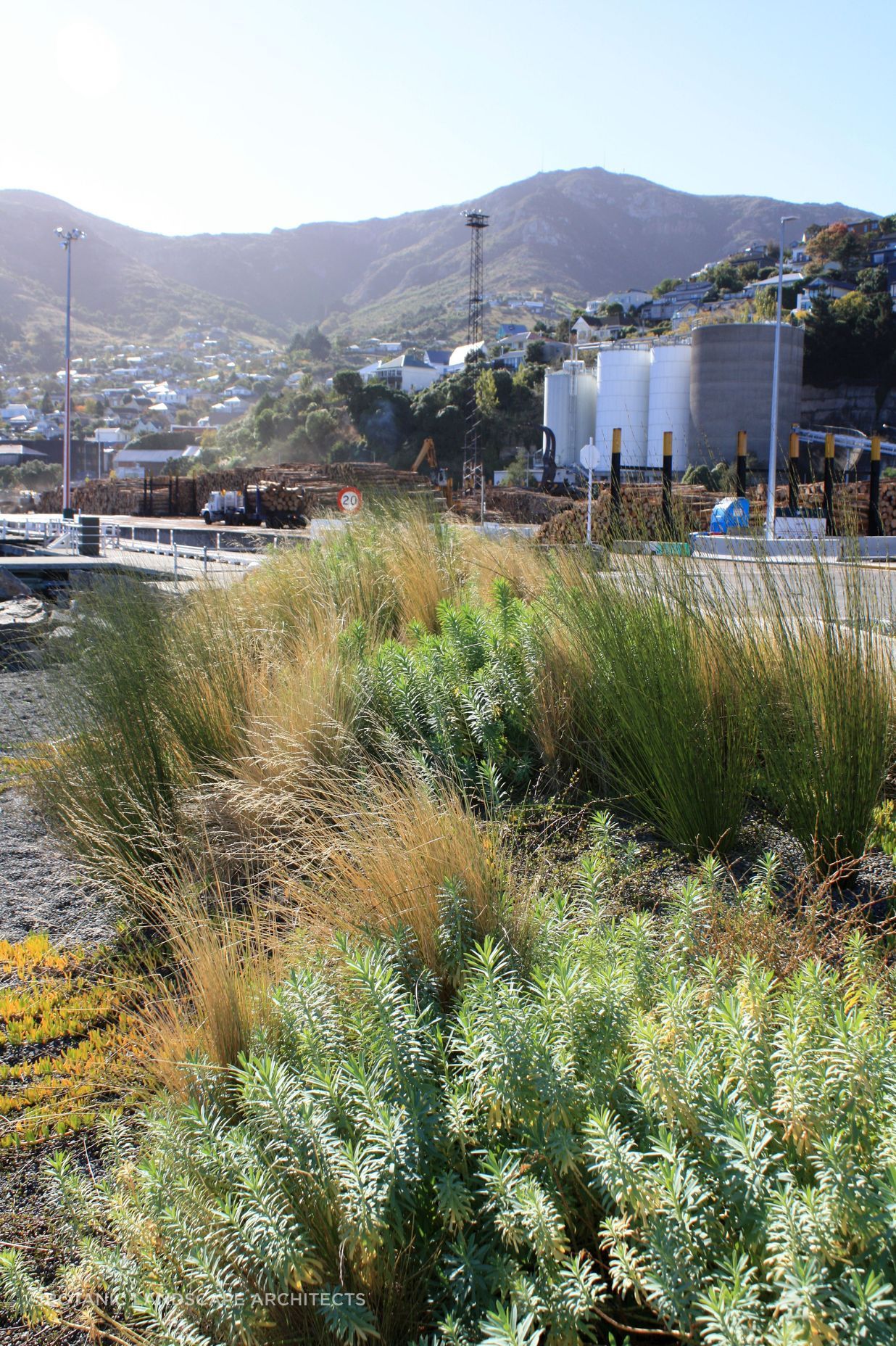 Waterfront House, Lyttelton Port