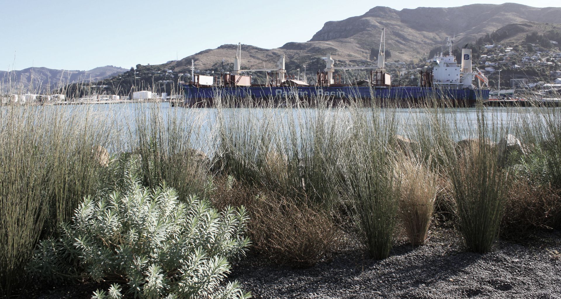 Waterfront House, Lyttelton Port banner