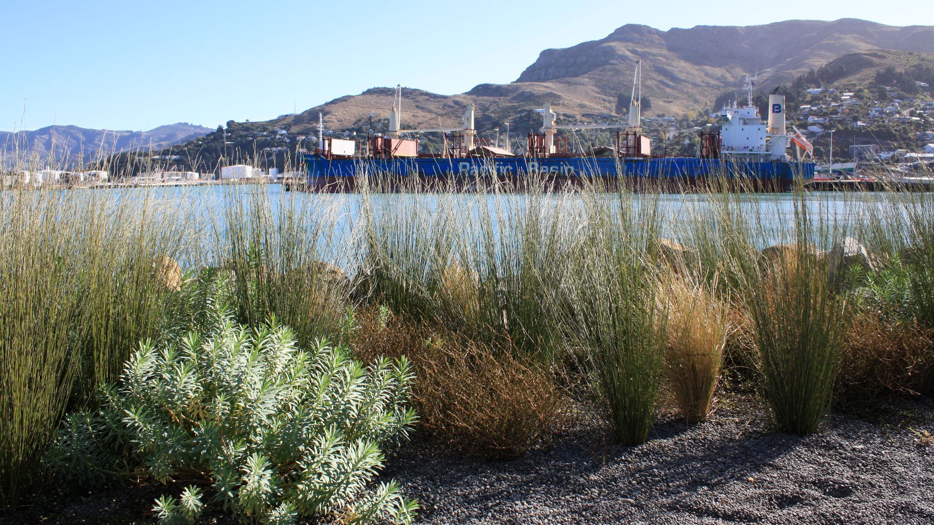 Waterfront House, Lyttelton Port banner