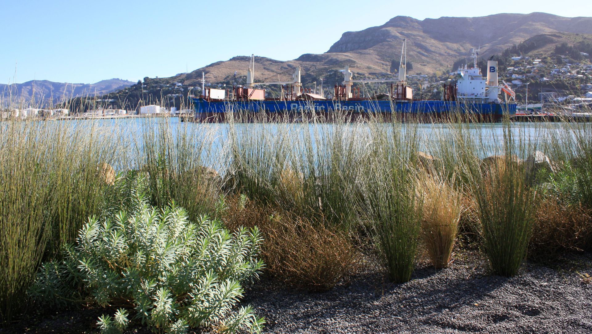 Waterfront House, Lyttelton Port banner