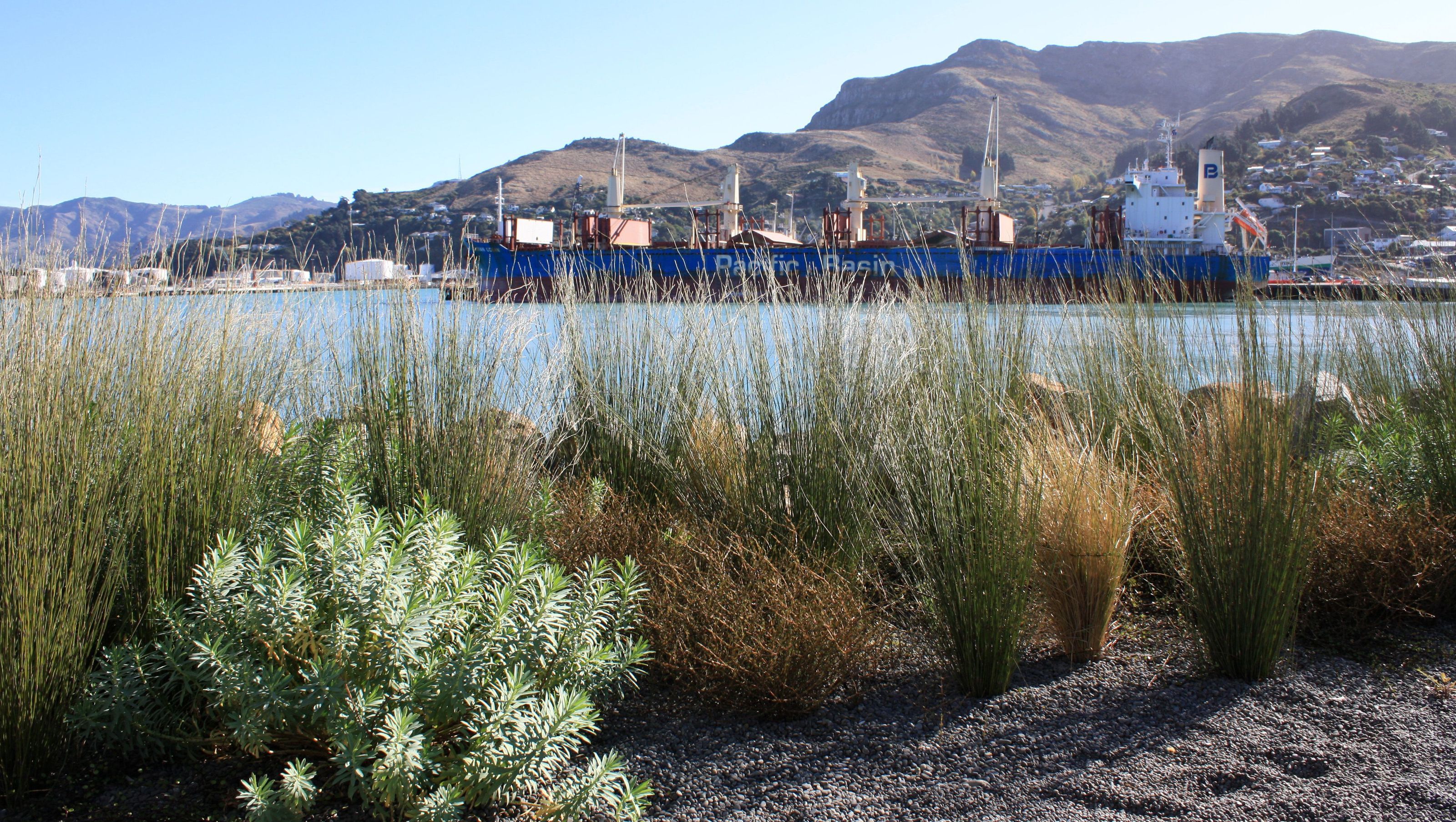 Lyttelton Port House