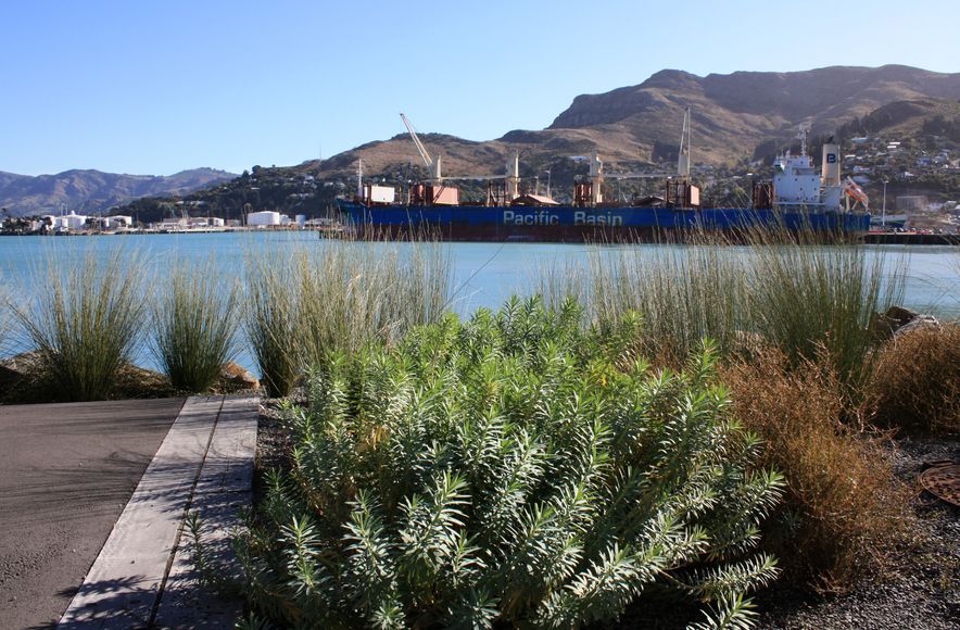 Waterfront House, Lyttelton Port