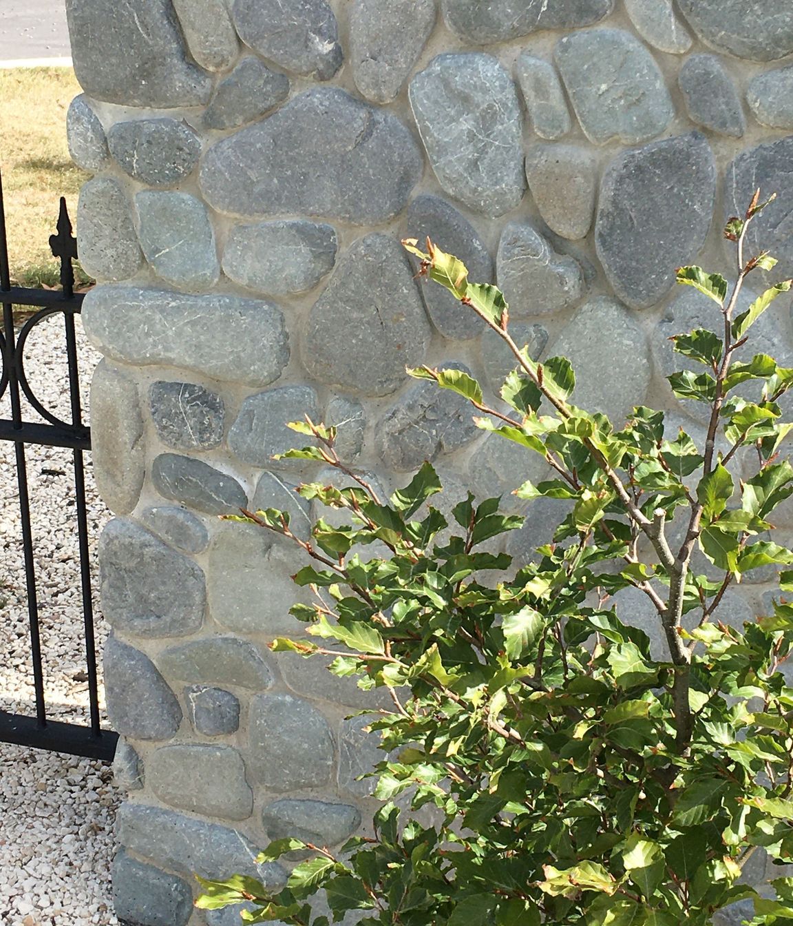 Ashburton Cemetery