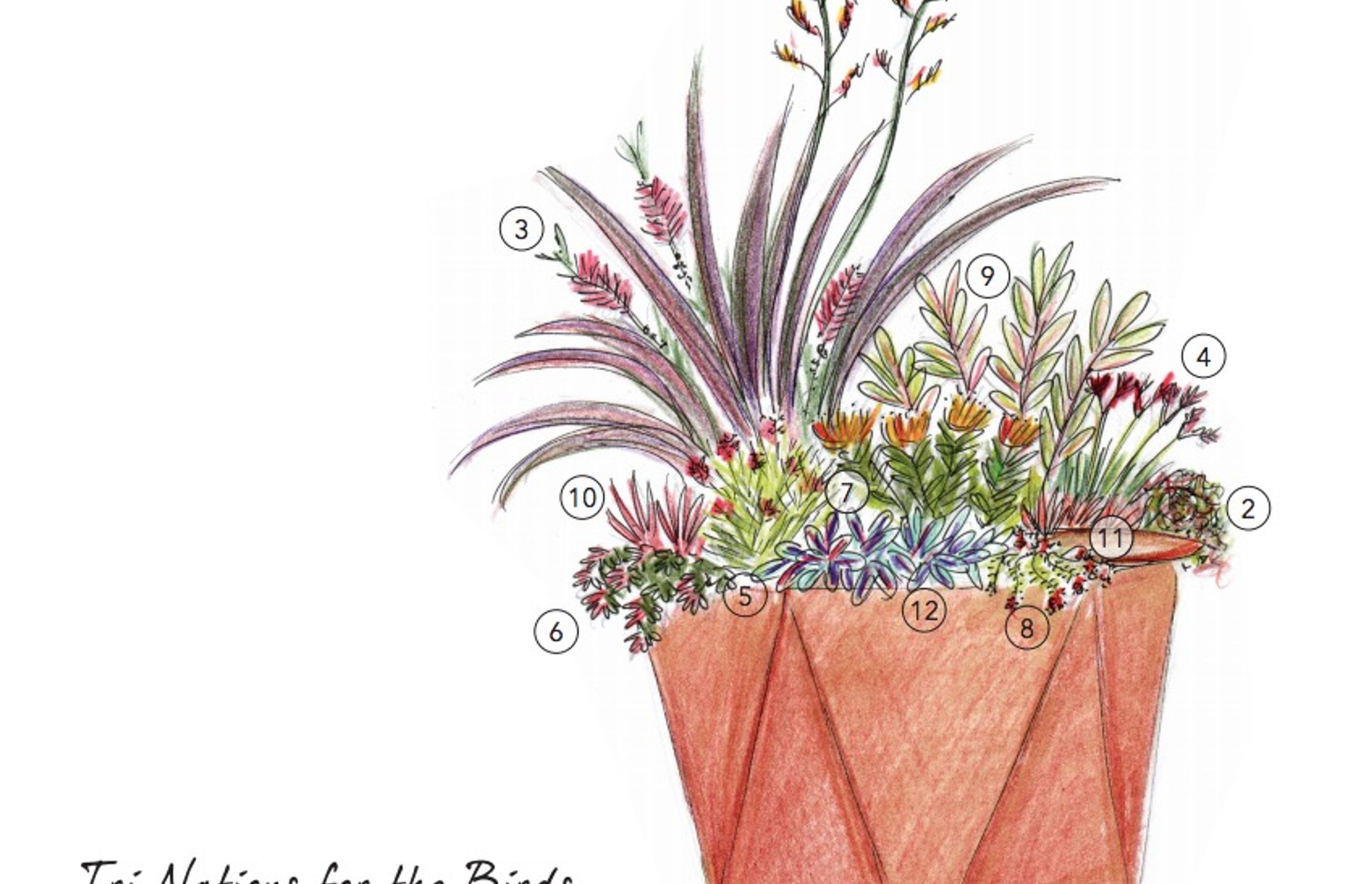 Flower & Garden Show by Sculpt Gardens ArchiPro NZ