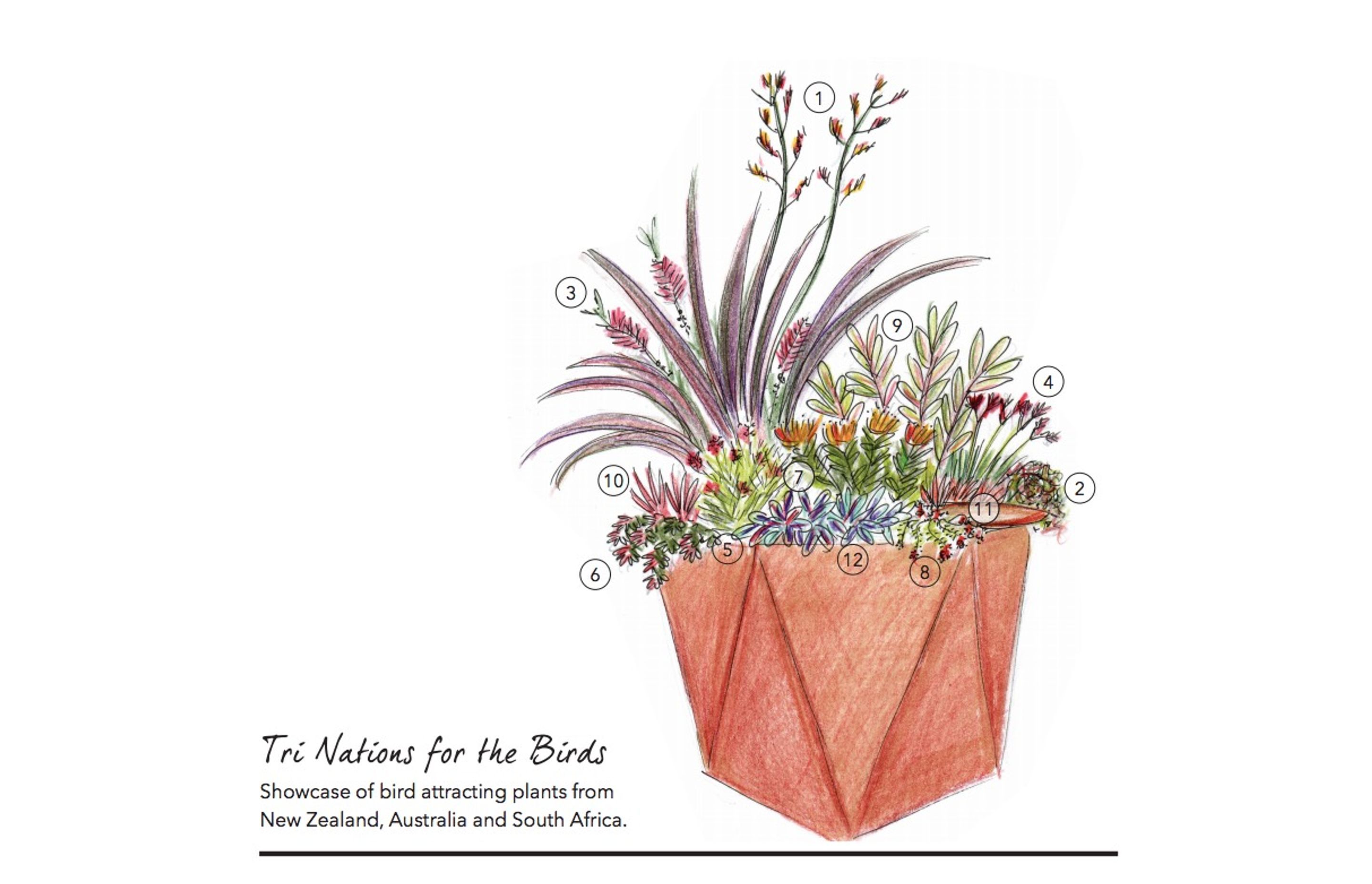 Flower &amp; Garden Show