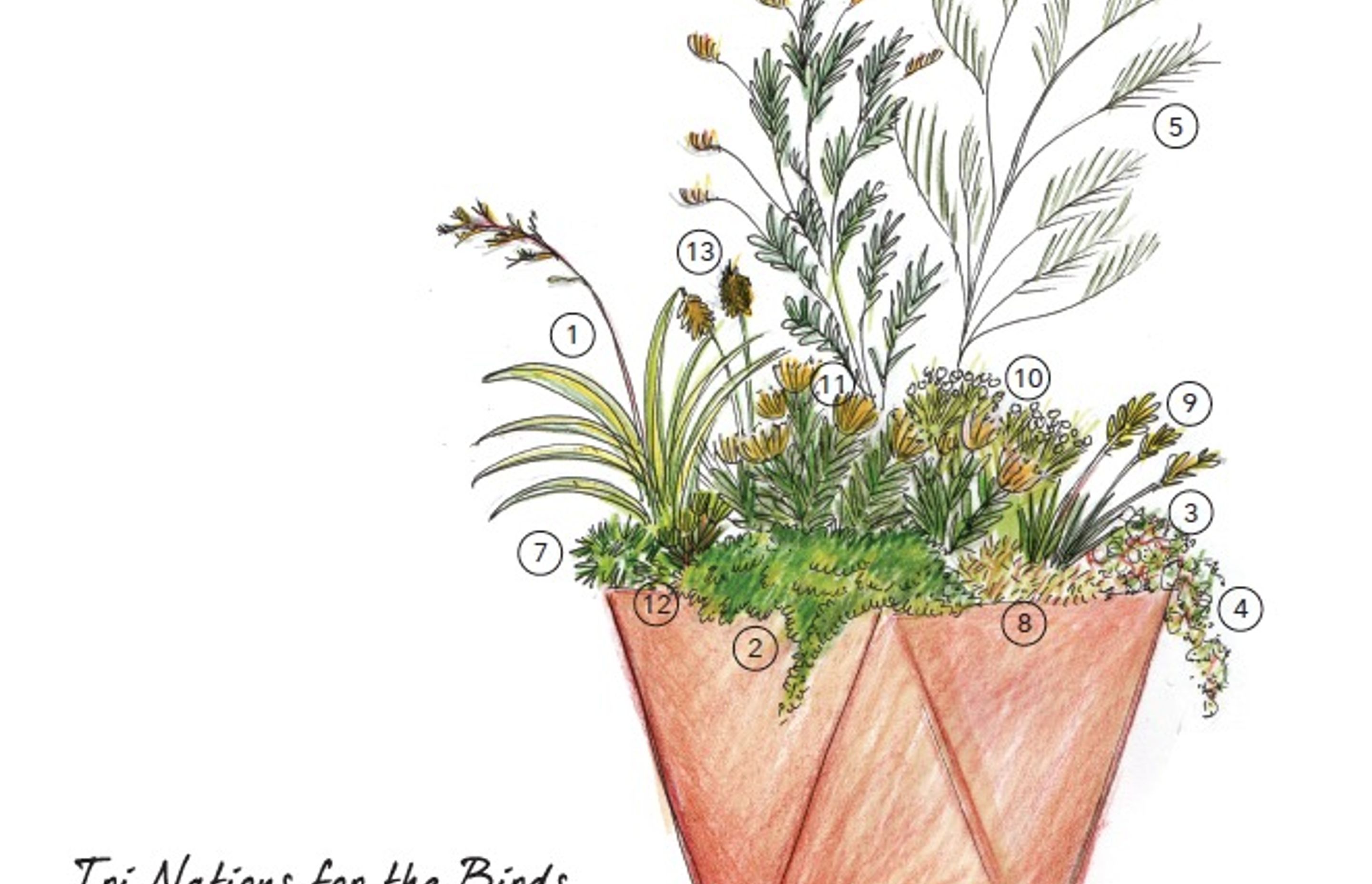 Flower & Garden Show by Sculpt Gardens ArchiPro NZ