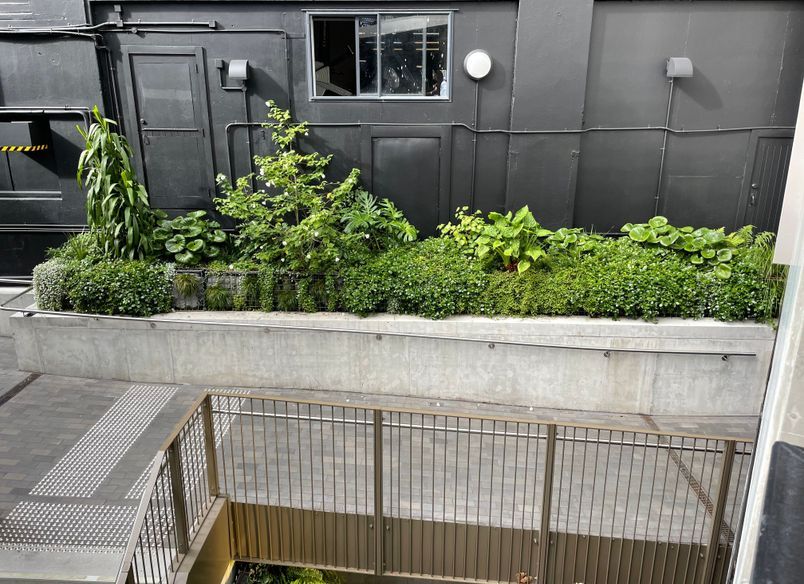 Les Mills Green Wall