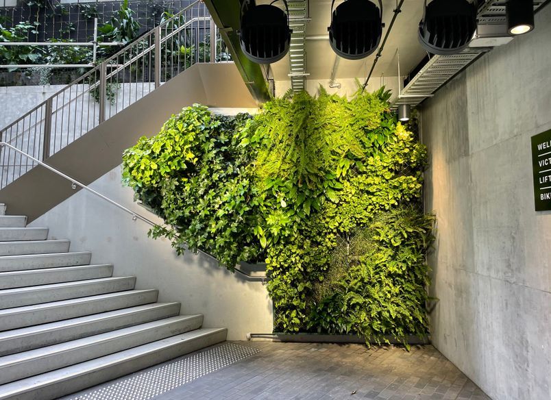 Les Mills Green Wall