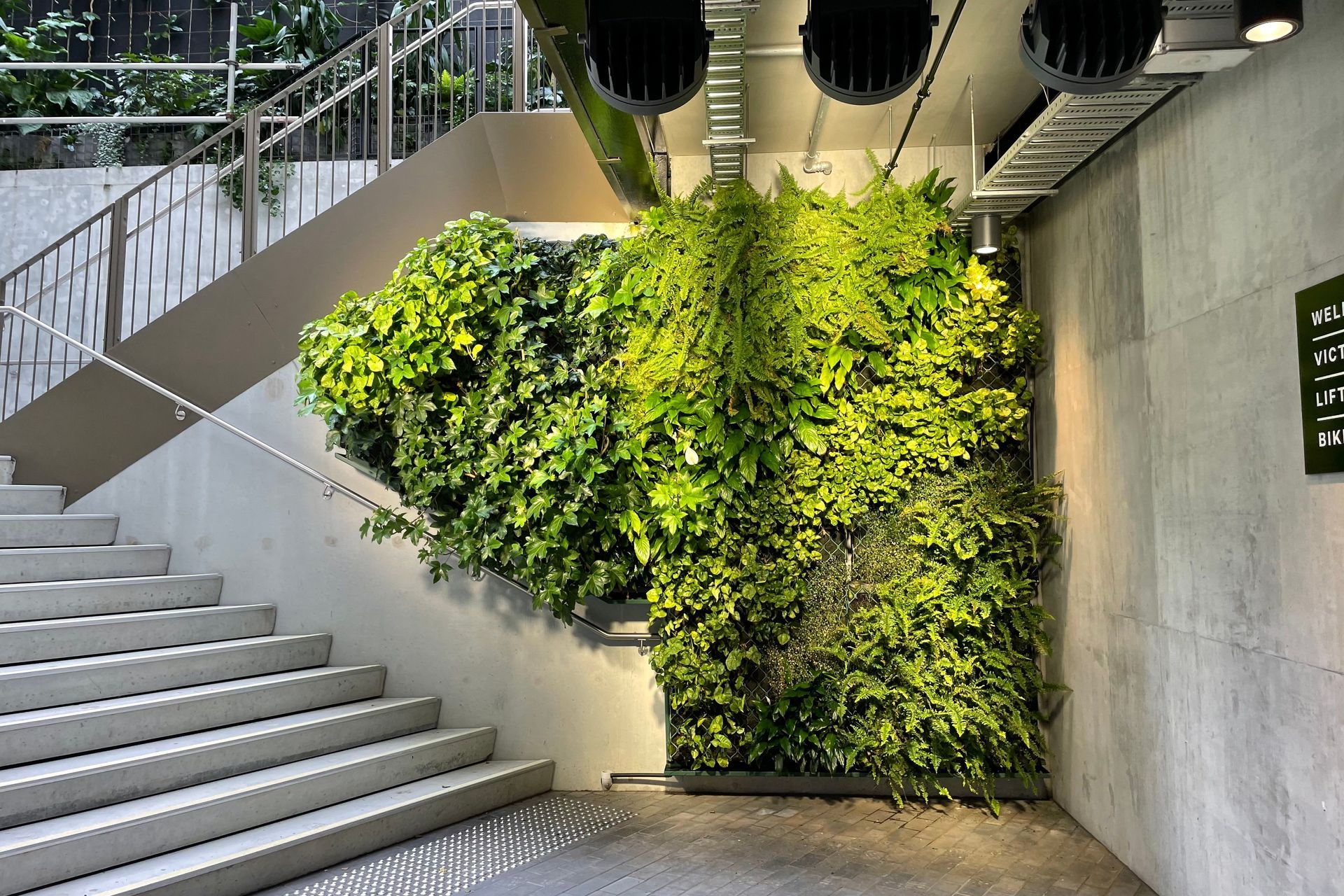 Les Mills Green Wall