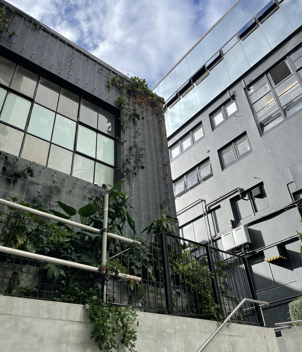 Les Mills Green Wall