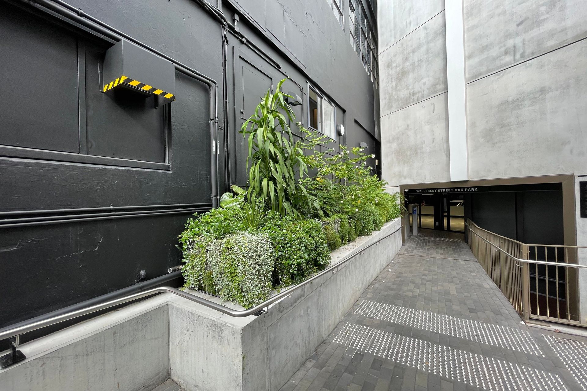 Les Mills Green Wall