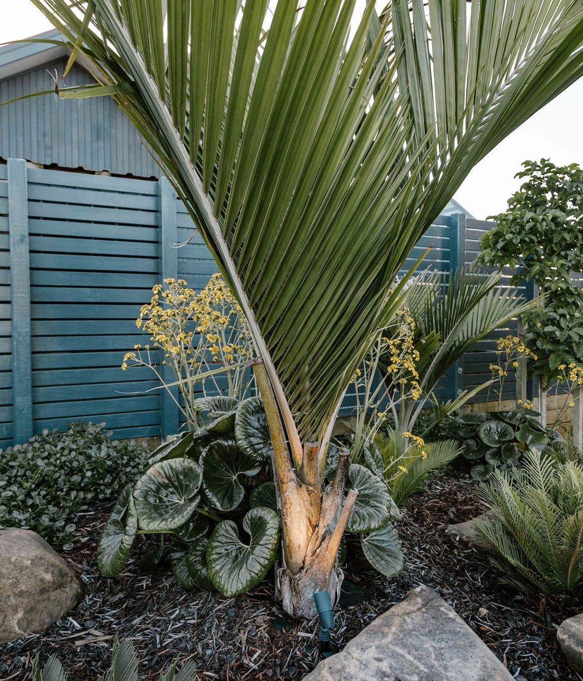 Master Gardeners