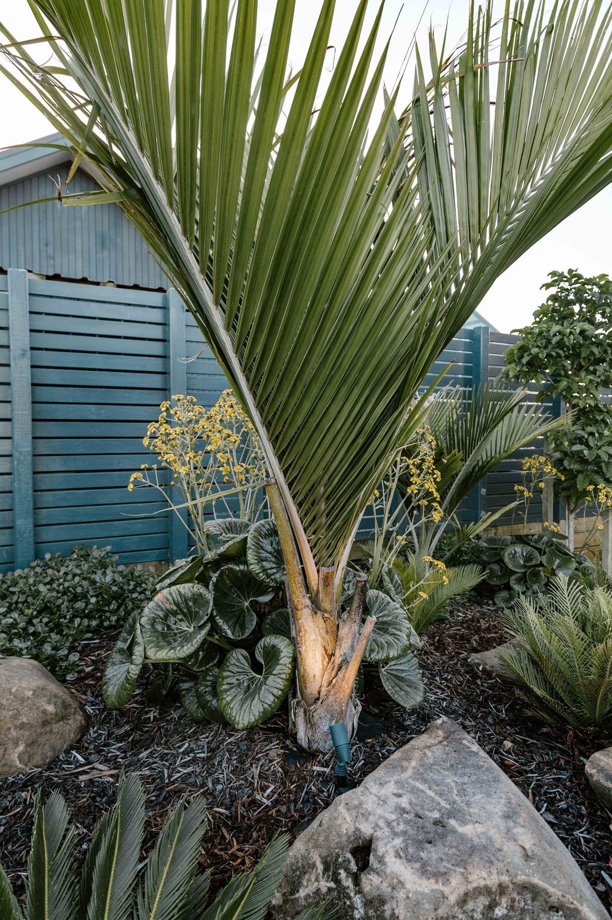 Master Gardeners