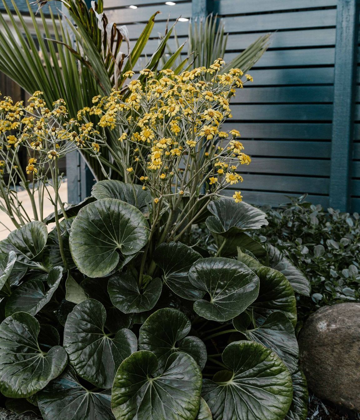 Master Gardeners