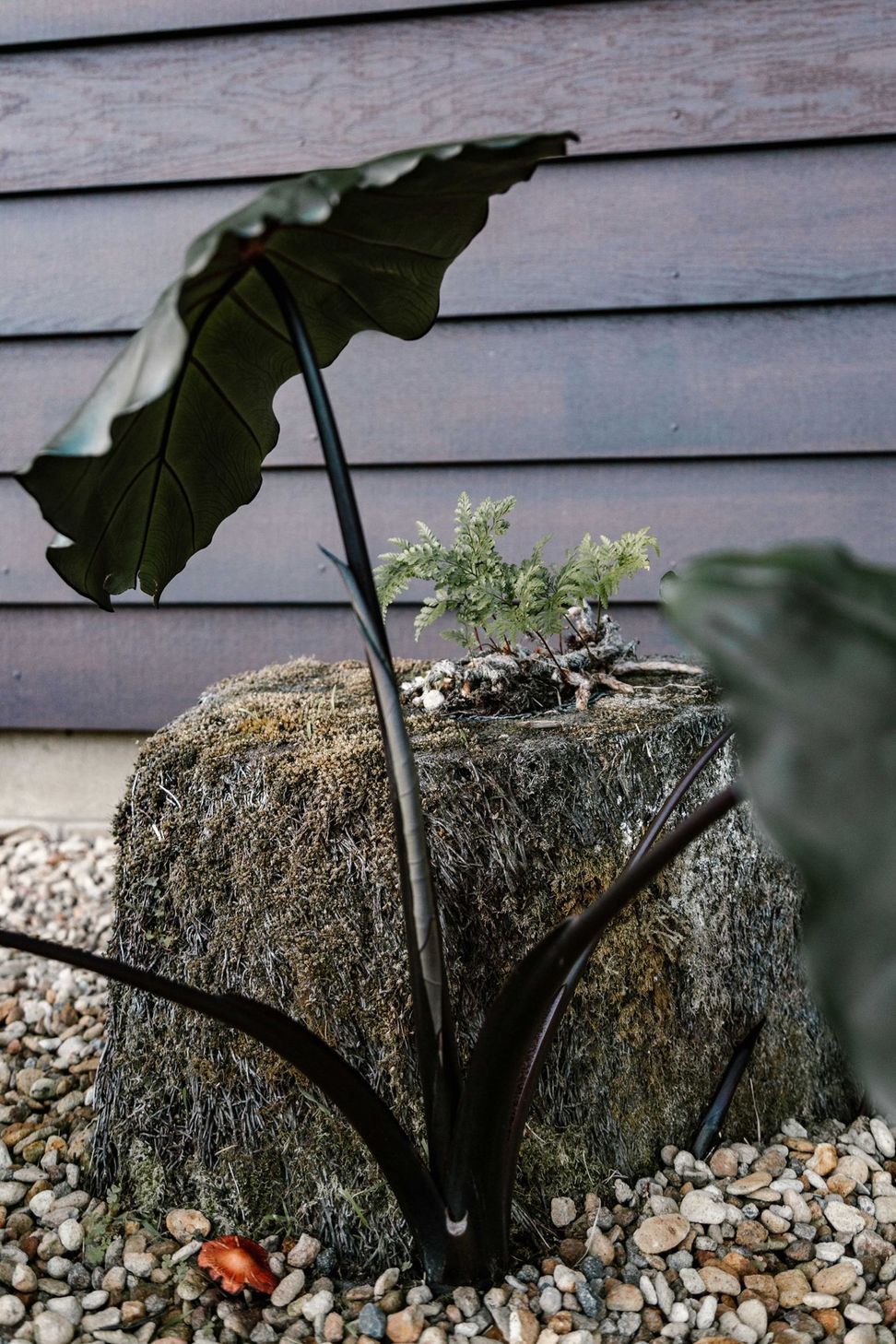Master Gardeners