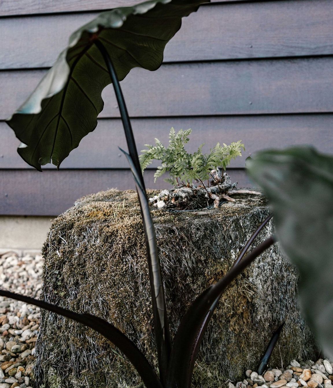 Master Gardeners