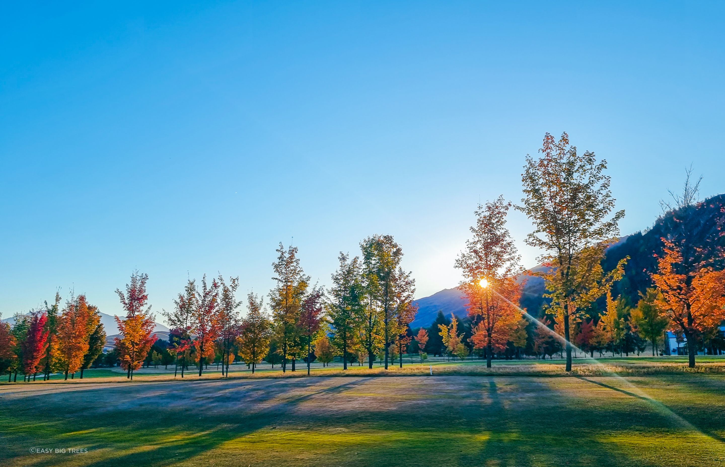 Millbrook-Resort03.jpg