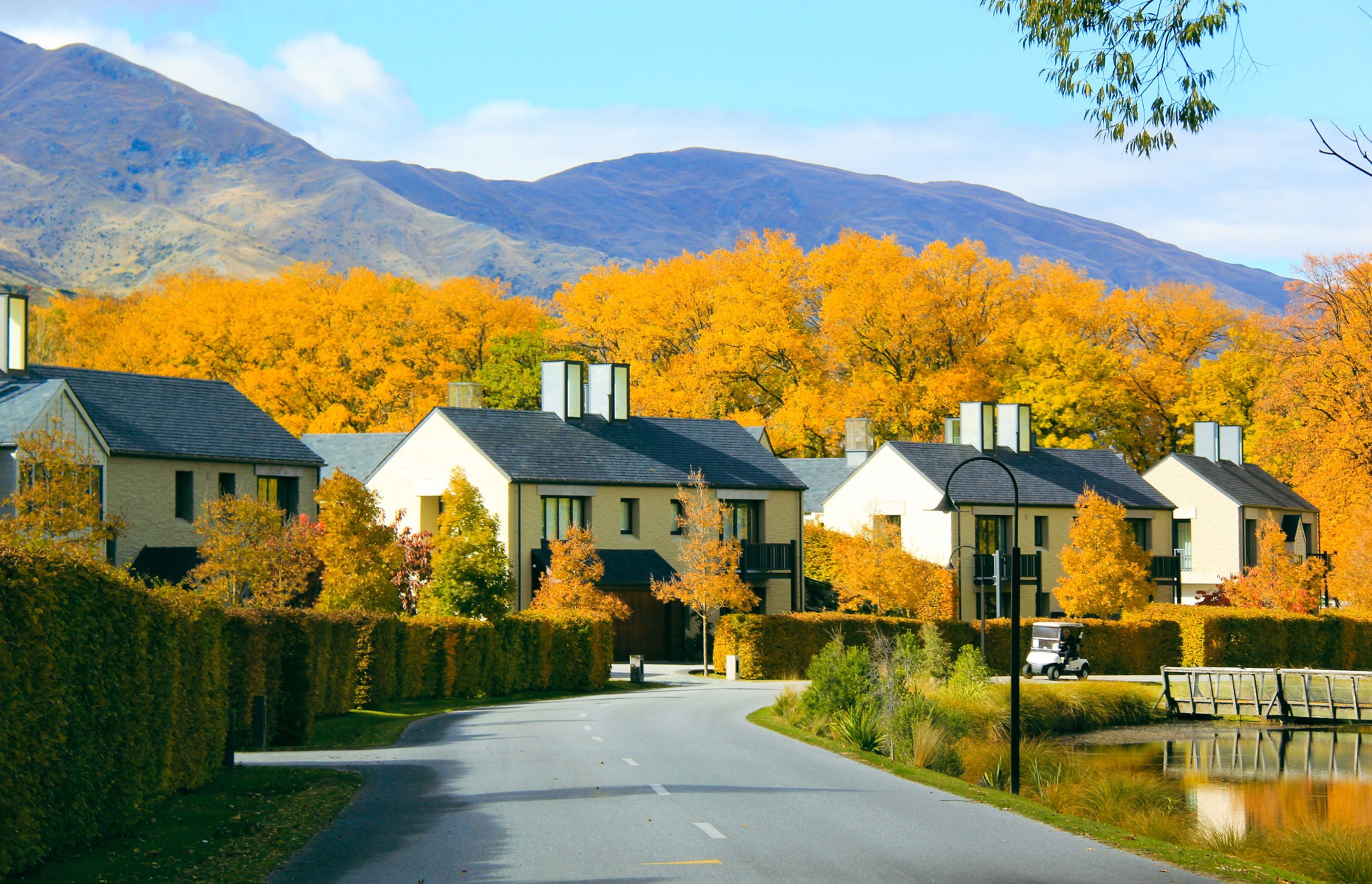 Millbrook Resort by Easy Big Trees ArchiPro NZ