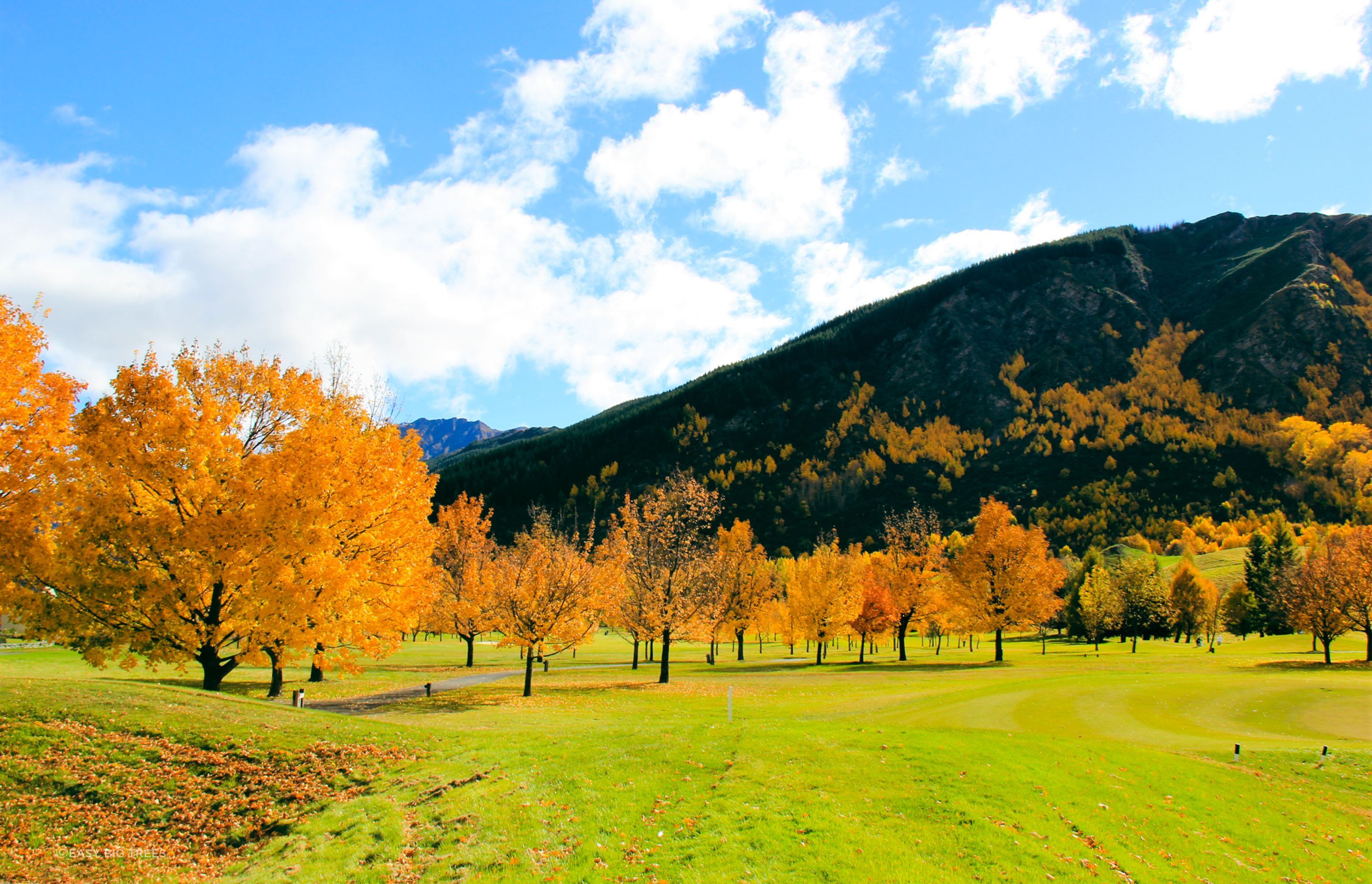 Millbrook-Resort07.jpg