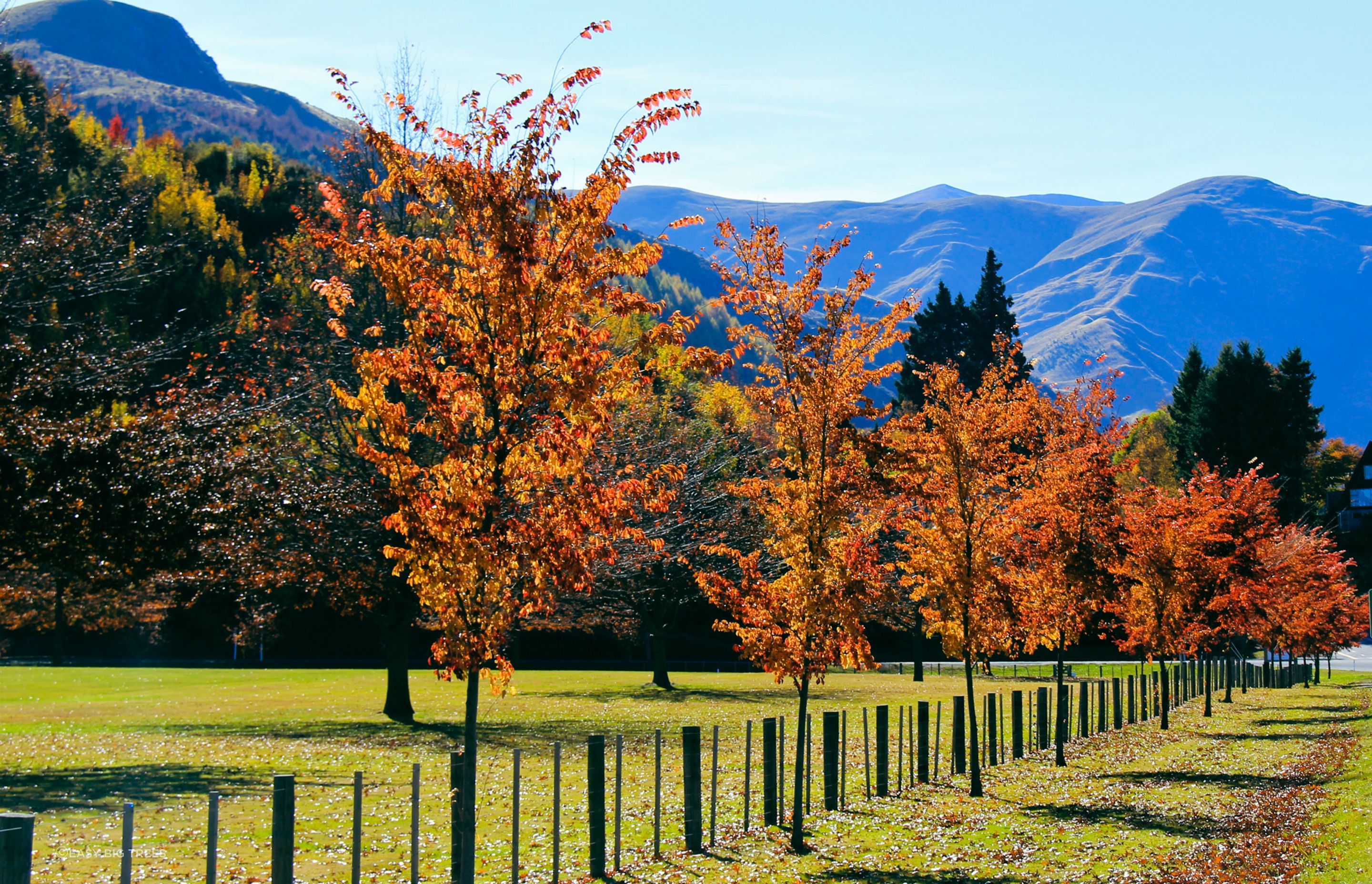 Millbrook-Resort09.jpg