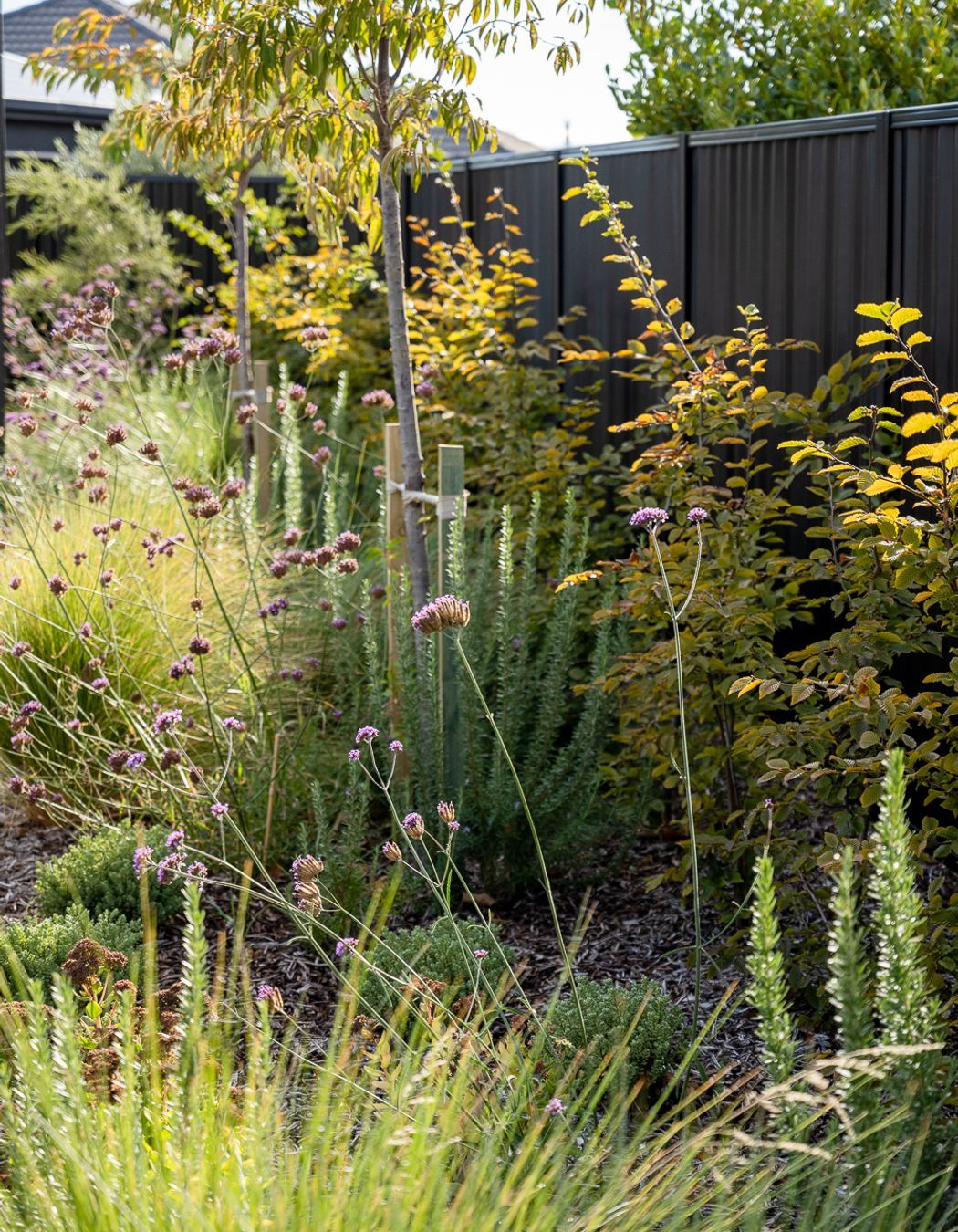 St Johns Garden, Cromwell