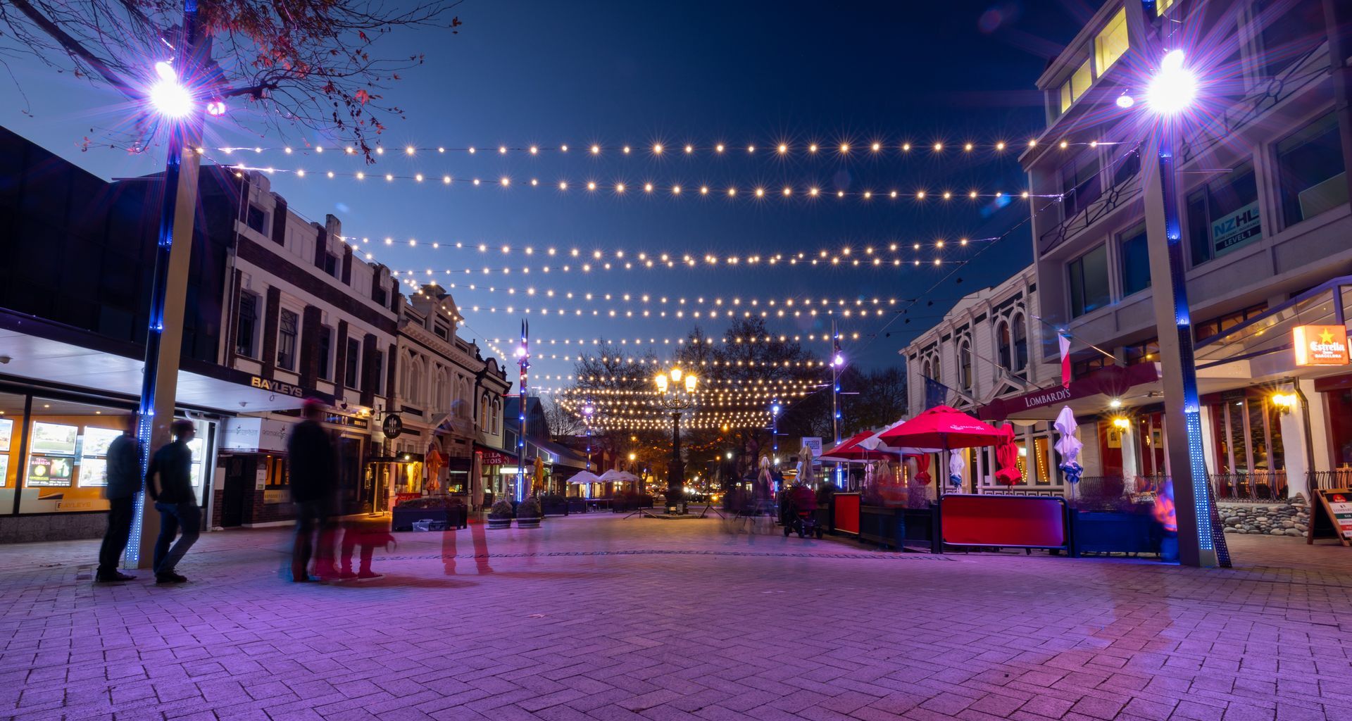 Nelson City Catenary Lights banner