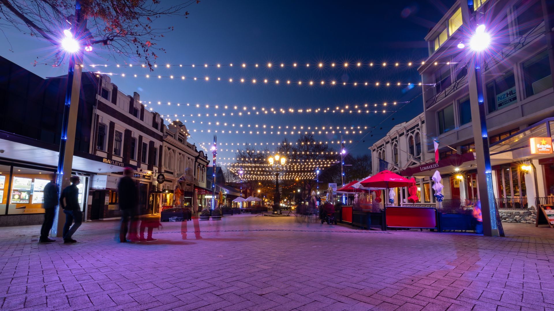 Nelson City Catenary Lights banner