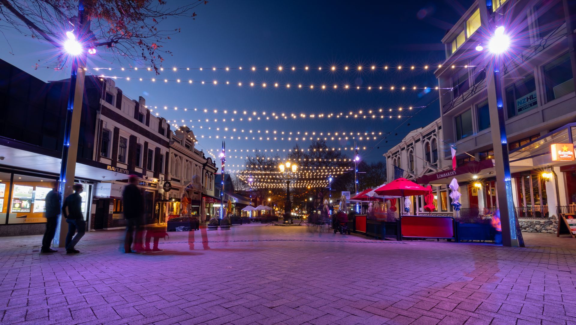 Nelson City Catenary Lights banner
