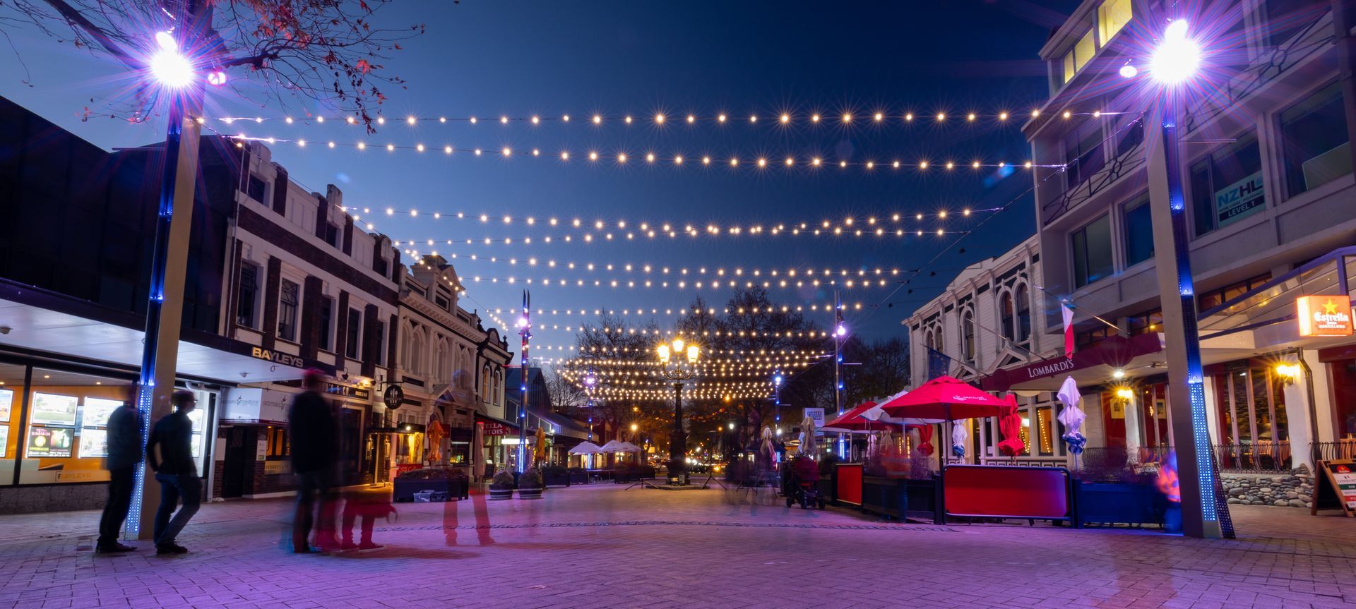Nelson City Catenary Lights banner
