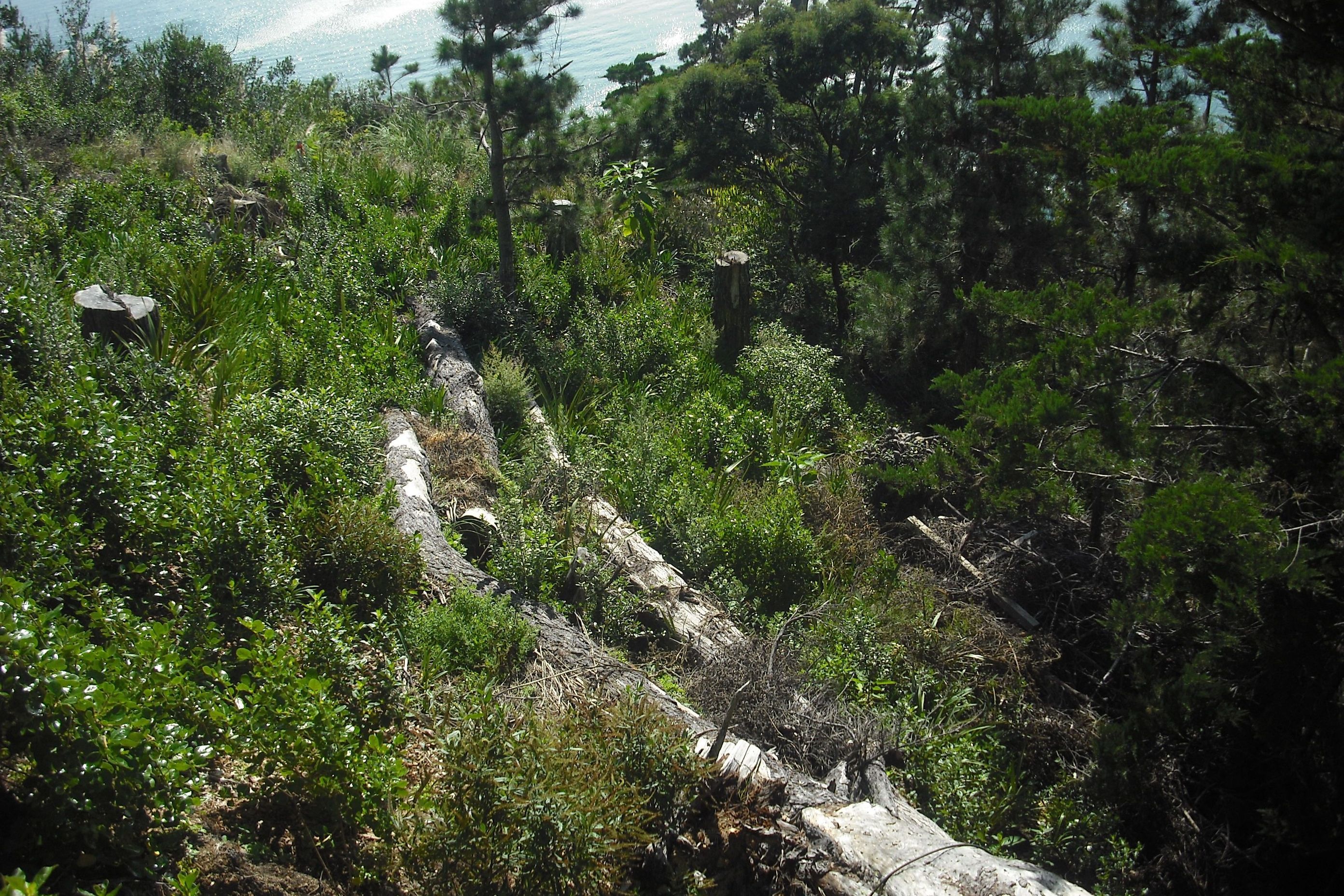 Environmental