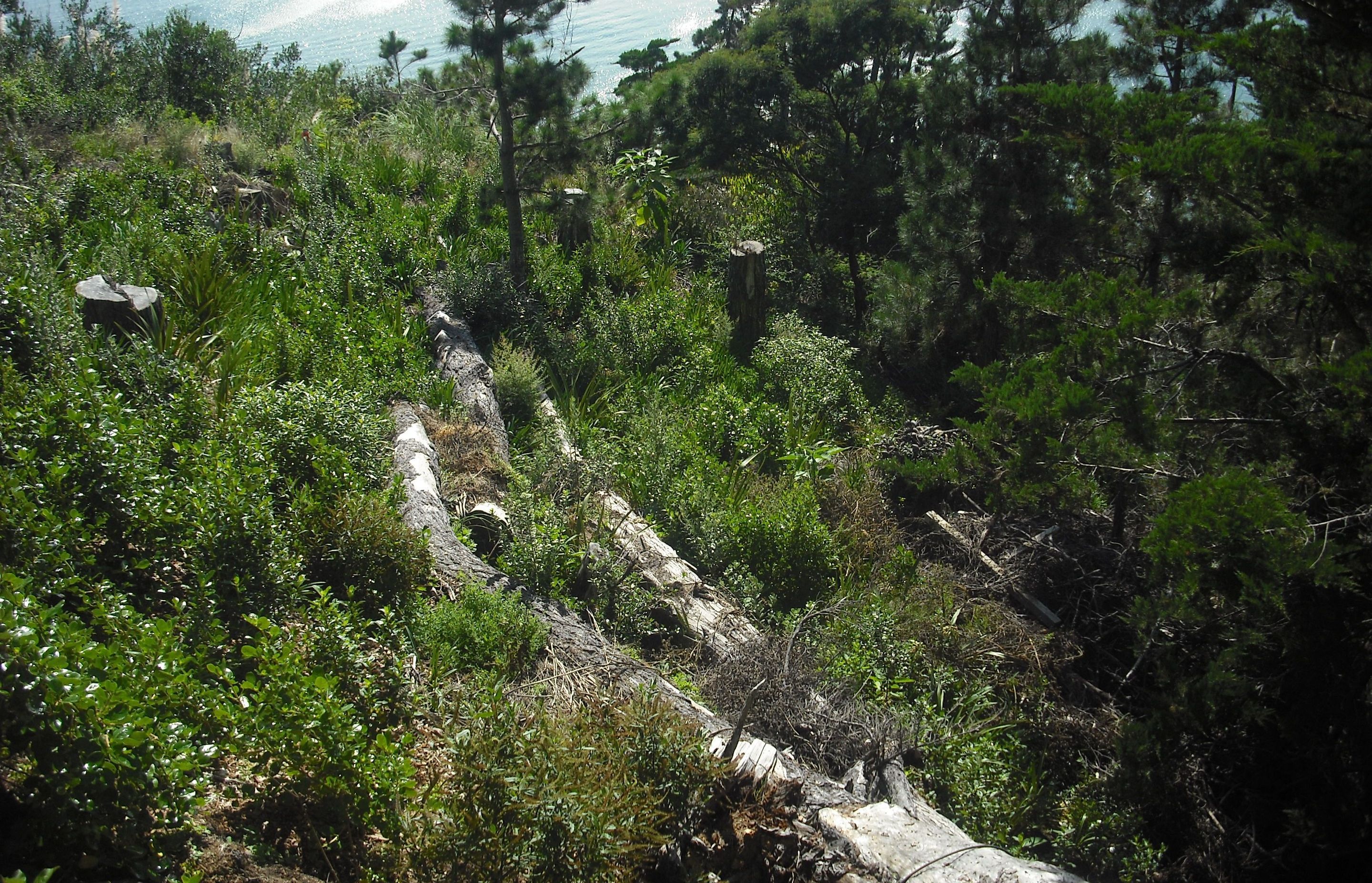 Environmental