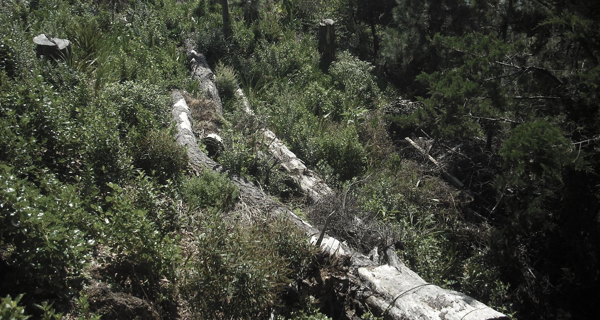Environmental banner